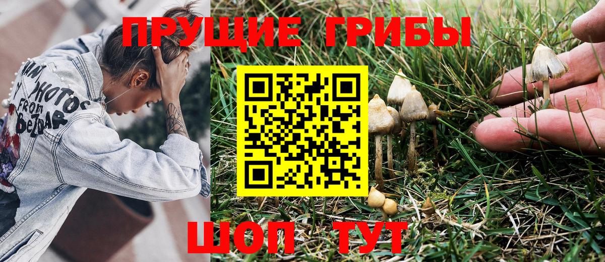сколько стоит  Вход с VPN  Алейск  Псилоцибиновые грибы Magic Shrooms 
